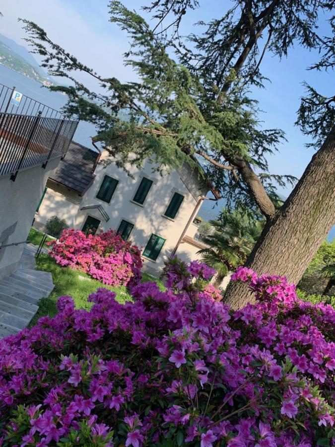 Giardini Magnolia Daire Belgirate Dış mekan fotoğraf