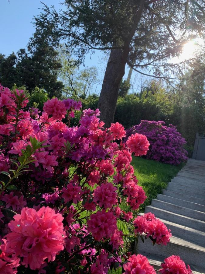 Giardini Magnolia Daire Belgirate Dış mekan fotoğraf
