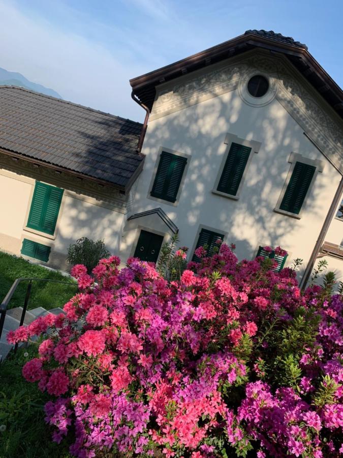 Giardini Magnolia Daire Belgirate Dış mekan fotoğraf