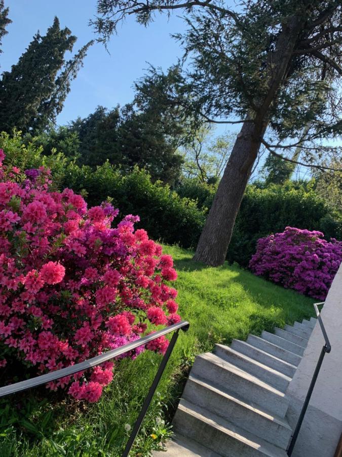 Giardini Magnolia Daire Belgirate Dış mekan fotoğraf
