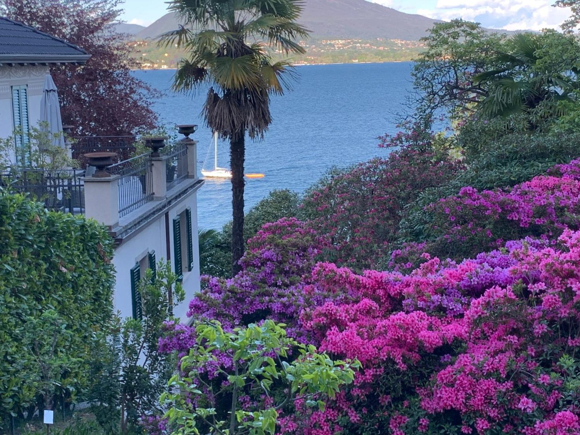 Giardini Magnolia Daire Belgirate Dış mekan fotoğraf