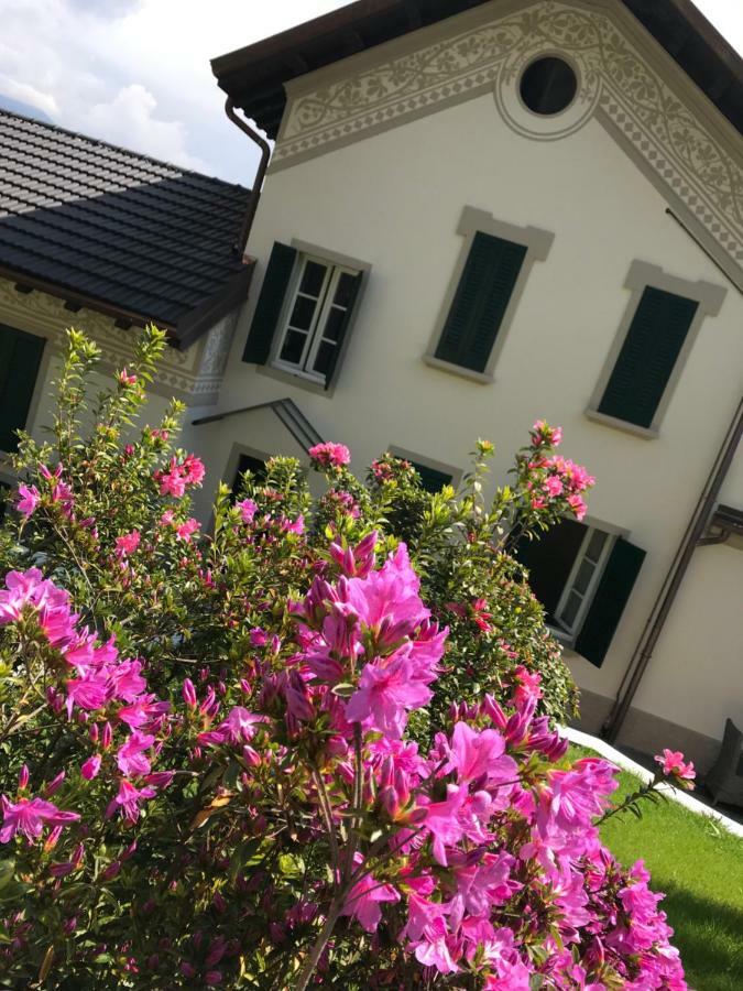 Giardini Magnolia Daire Belgirate Dış mekan fotoğraf